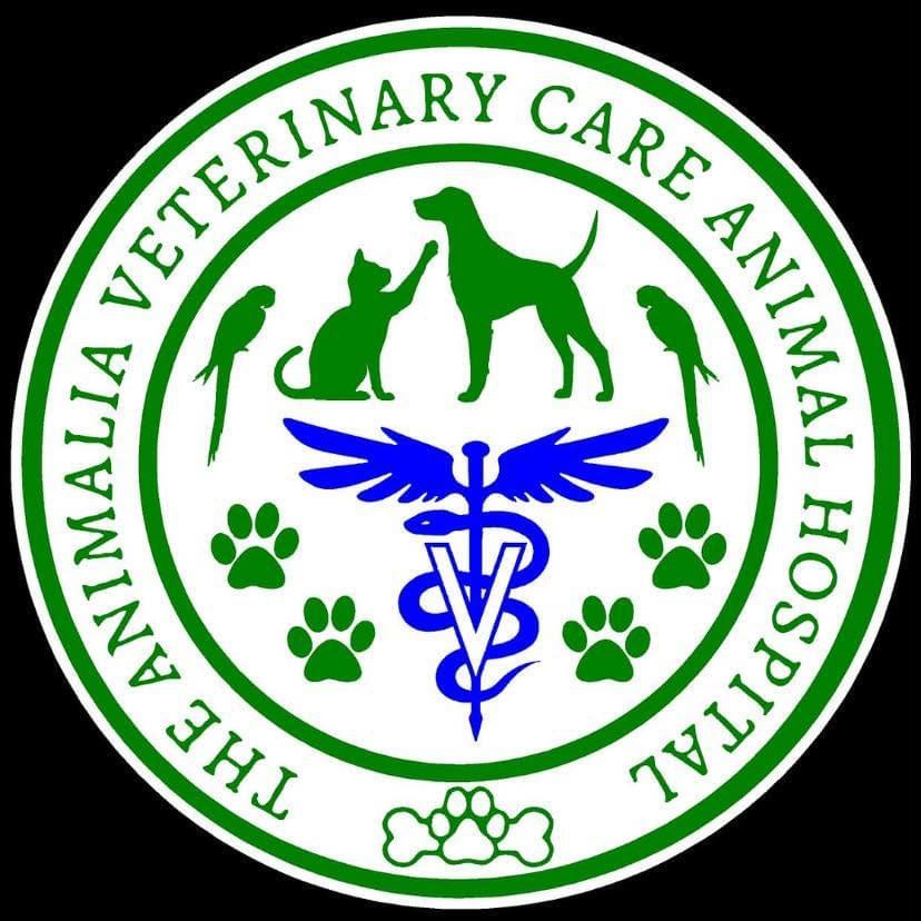 THE ANIMALIA VETERINARY CARE ANIMAL HOSPITAL